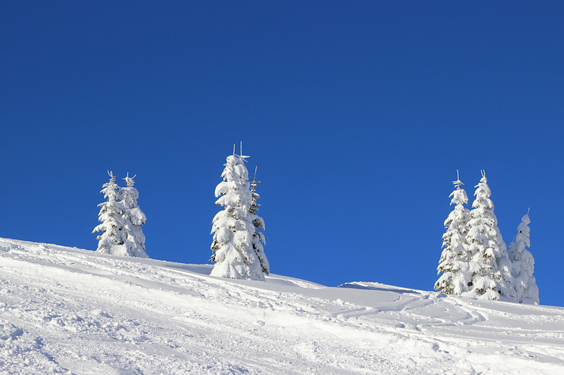 Corvara Januar 2014