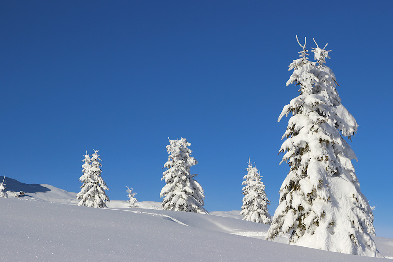 Corvara Januar 2014